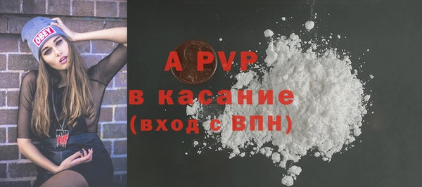 сатива Богданович