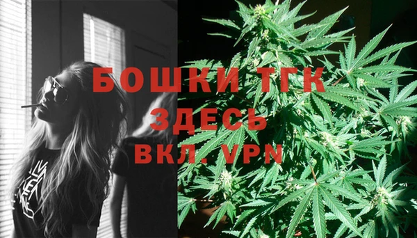 сатива Богданович