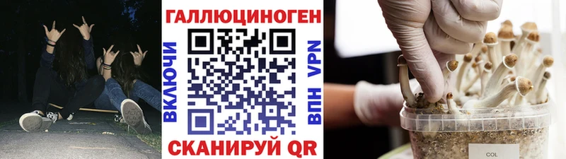купить наркотик Курильск Псилоцибиновые грибы прущие грибы