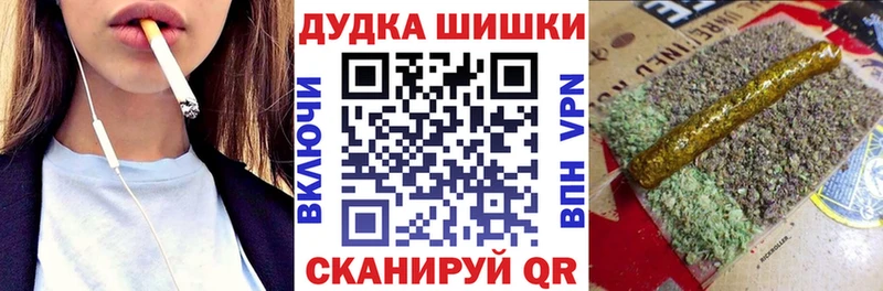 Канабис сатива  Курильск 